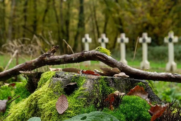 Resting Lightly: The Human Guide to Finding a Green Burial Cemetery Near You (and Why It Matters) Cover