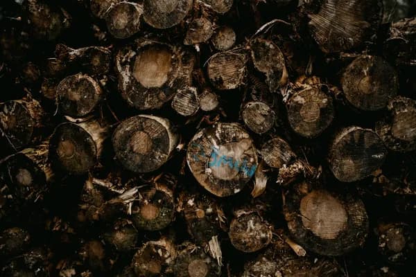 What is Human Composting? The Science Behind Recomposition Cover