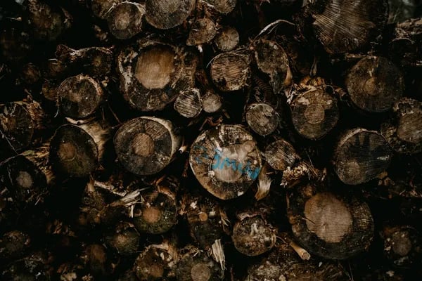 What is Human Composting? The Science Behind Recomposition Cover